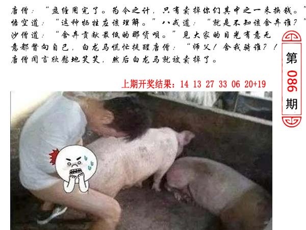 086期澳门生活幽默[图]